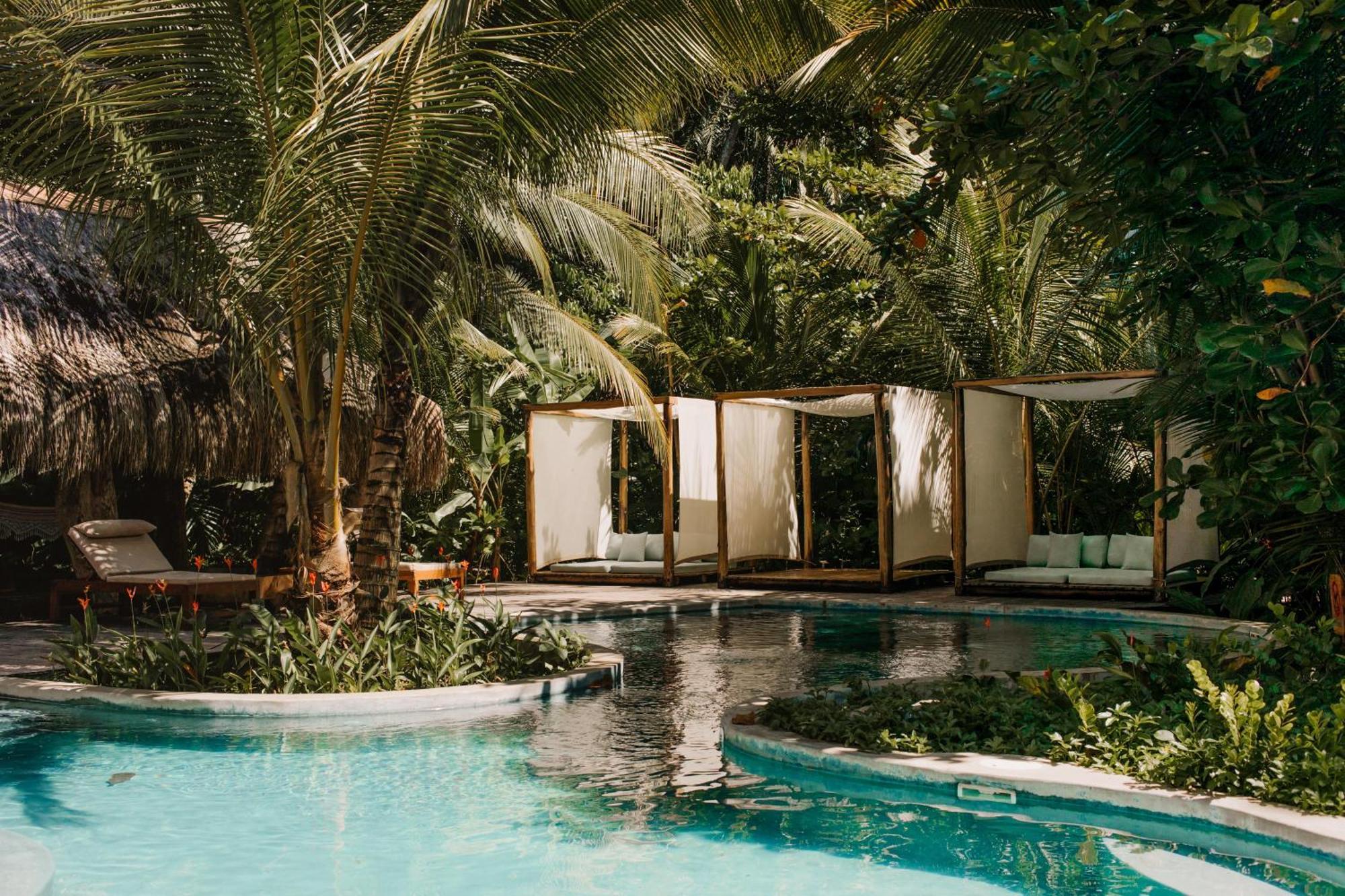 The Resort At Isla Palenque Member Of The Cayuga Collection 보카 치카 외부 사진