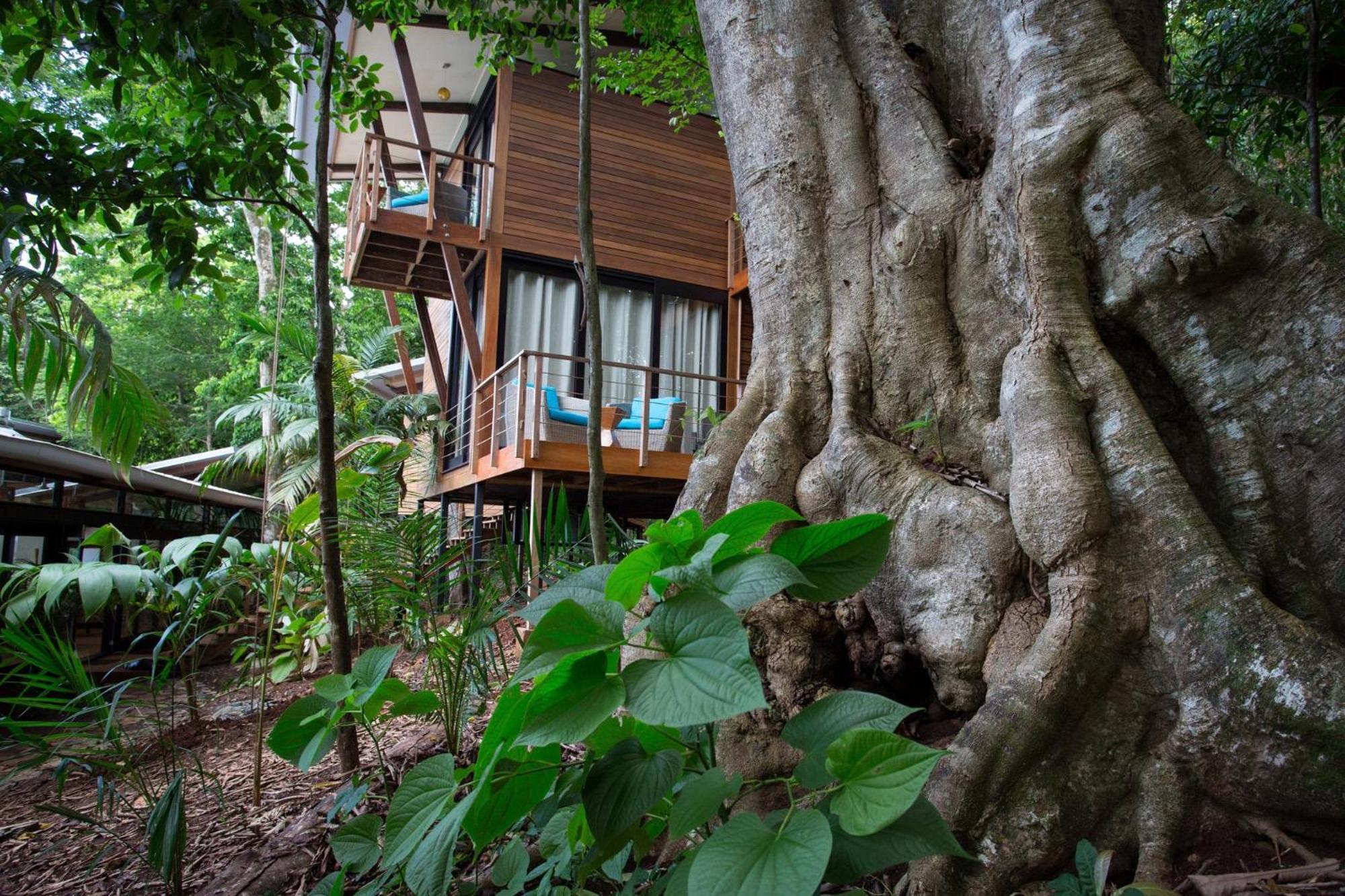 The Resort At Isla Palenque Member Of The Cayuga Collection 보카 치카 외부 사진