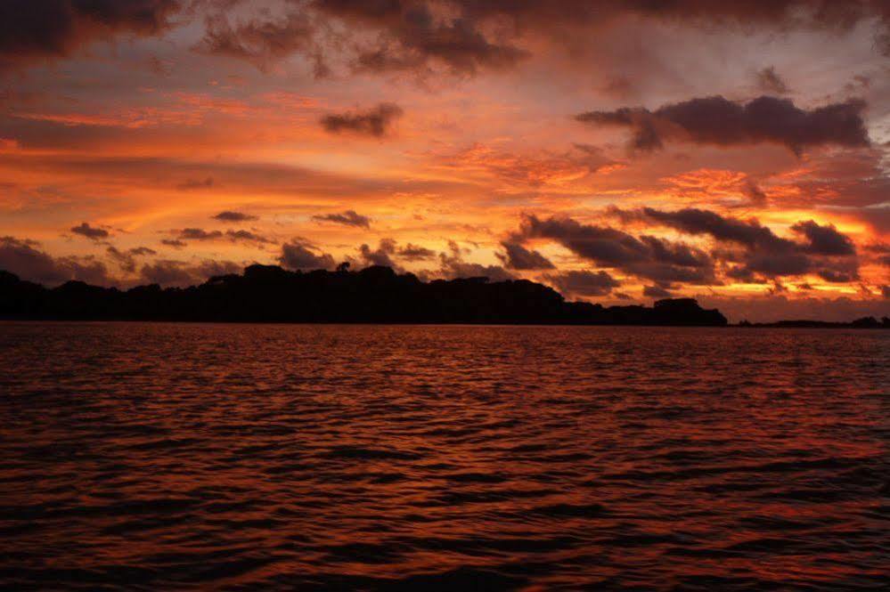 The Resort At Isla Palenque Member Of The Cayuga Collection 보카 치카 외부 사진
